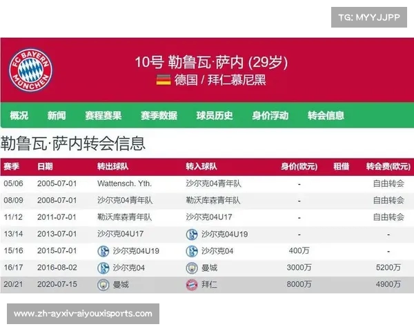 英超球队老板财富:分析英超球队老板的财富背景与经营模式。 英超球队老板财富:分析英超球队老板的财富背景与经营模式。