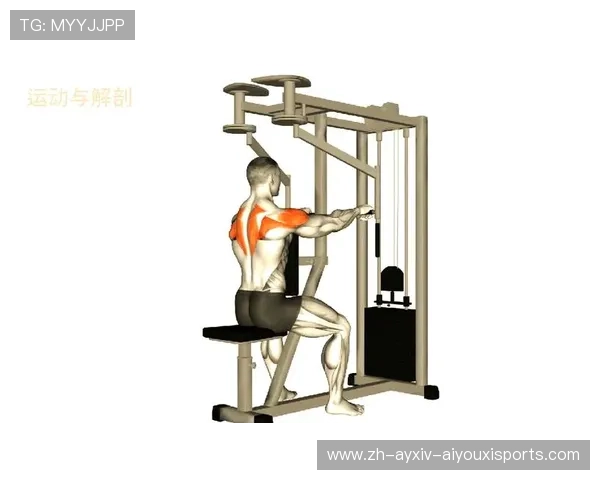 锻炼背部肌群的健身器材推荐及姿势指导 锻炼背部肌群的健身器材推荐及姿势指导